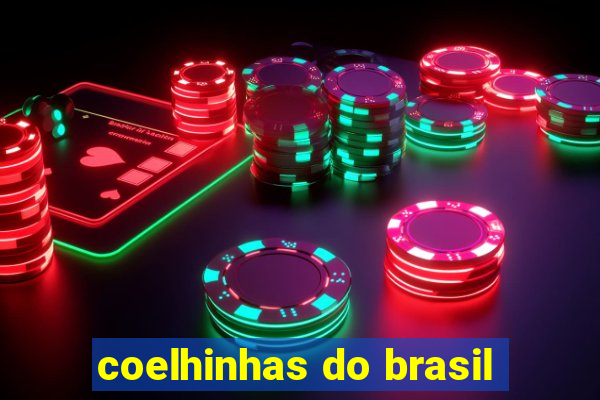 coelhinhas do brasil